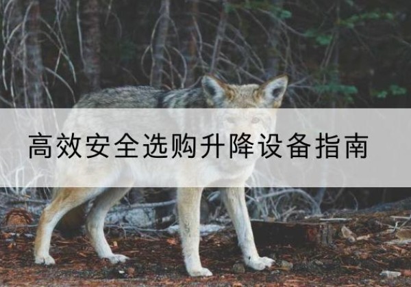 长宁区升降货梯厂家推荐-*安全选购升降设备指南