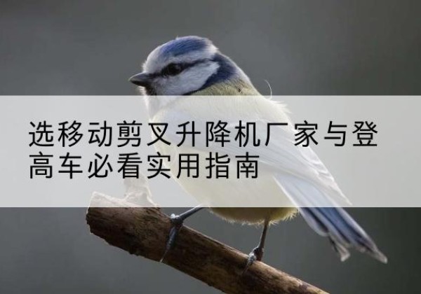 长宁区电动升降机厂家-选移动剪叉升降机厂家与登高车必看实用指南